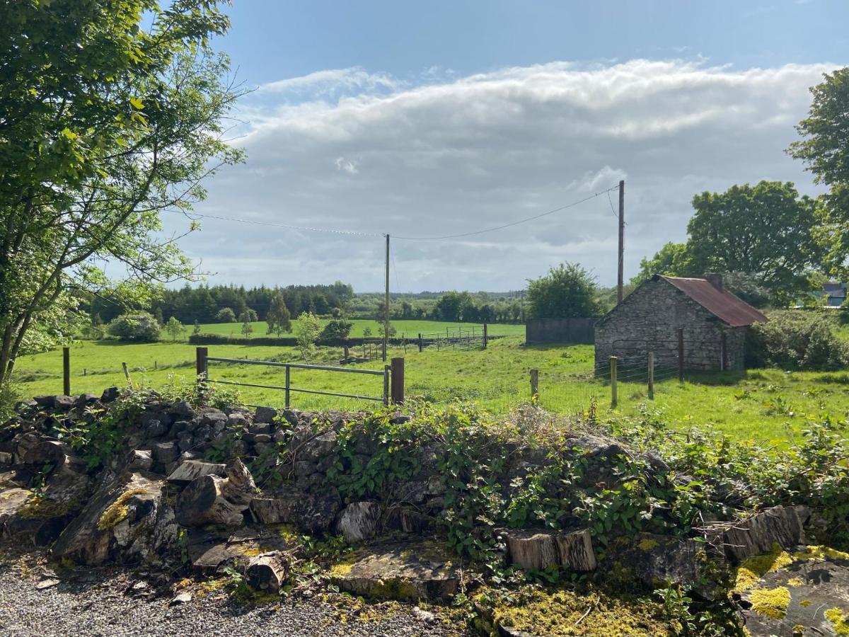 Vila Higgins House Ballyhaunis Exteriér fotografie